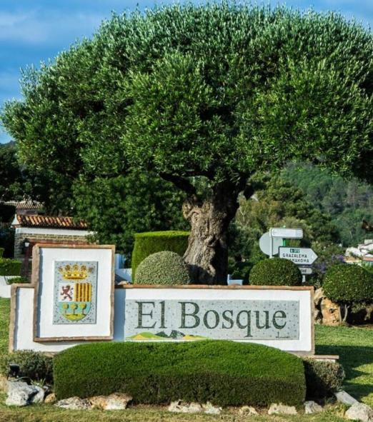 Alto de Torrecillas El Bosque Exterior foto